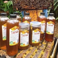 Combo 2 Lít Mật ong hoa cà phê Ama Thuột OCOP 3 Sao