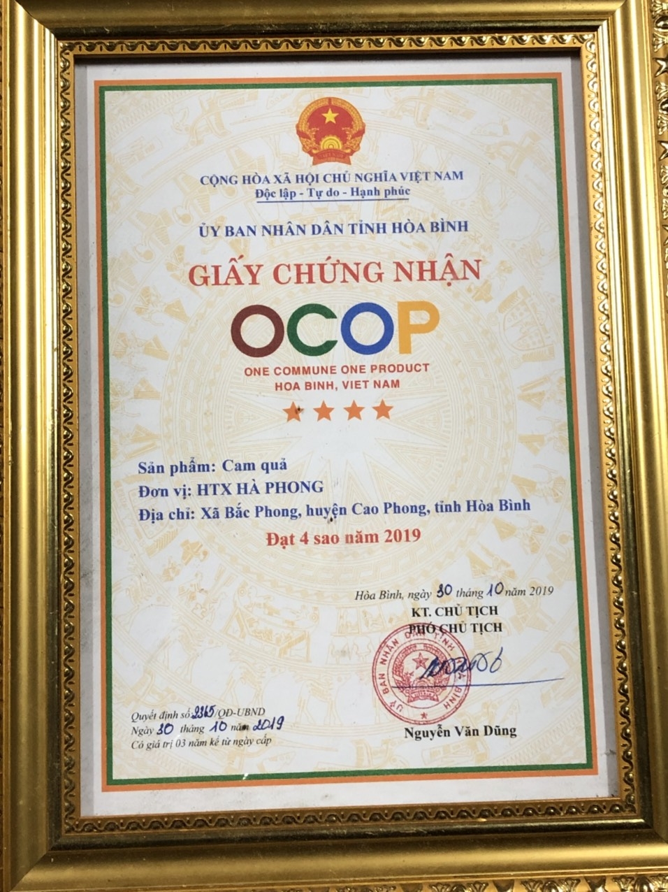 COMBO 10KG CAM LÒNG VÀNG CAO PHONG HOÀ BÌNH