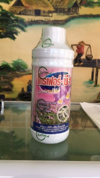 Phân bón lá kích rễ cao cấp Vitamin B1 Grofer Thái Lan Chai 1 lít