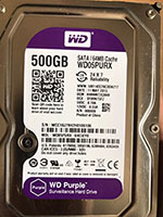 HDD 500Gb Western  PURPLE Sata Chuyên Camera màu tím