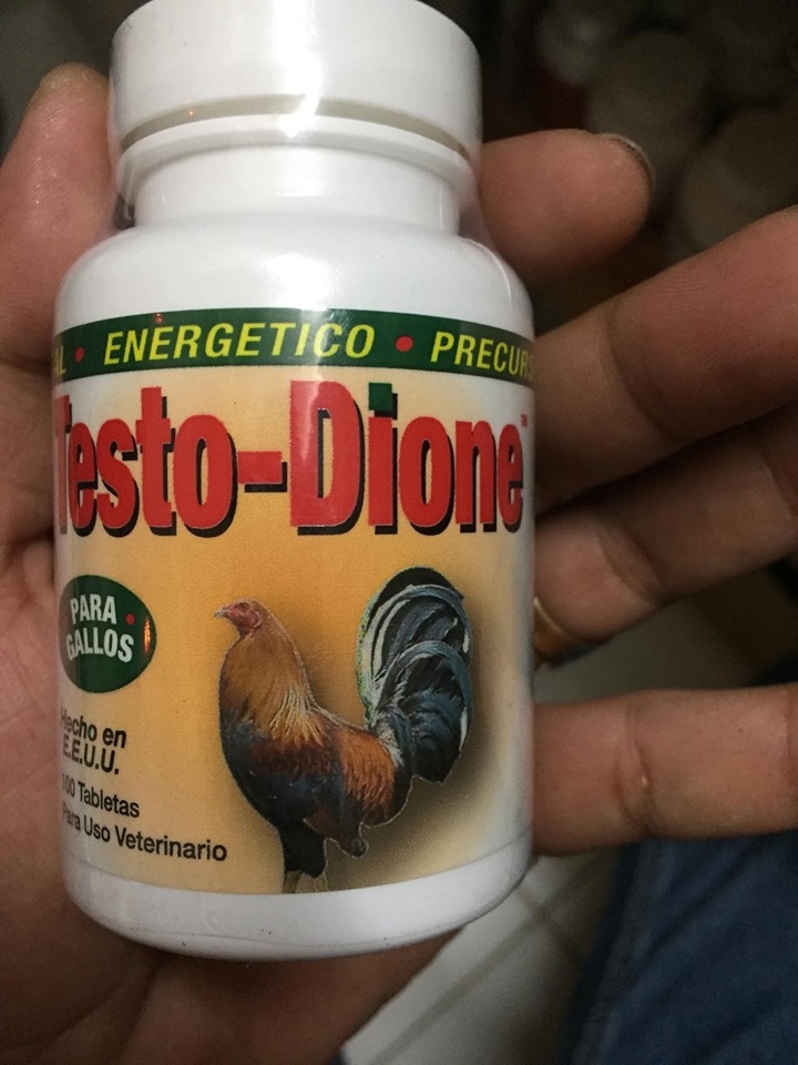 Thuốc nuôi gà tơ Testo Dione trị gà cự yếu