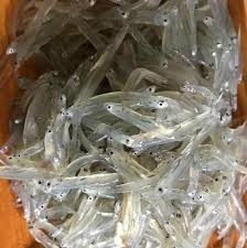 Cá cơm ngần khô (loại 1) Phú Yên