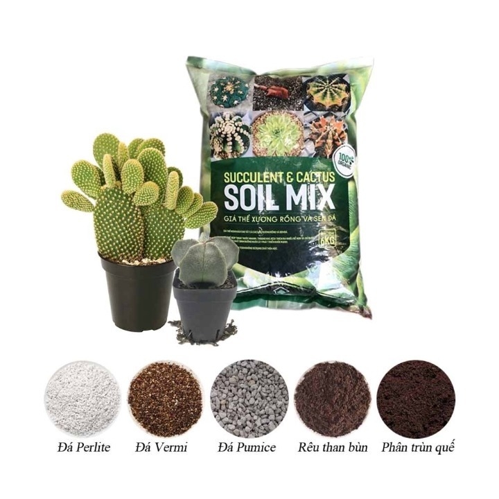 Soil Mix Đất Trồng Sen Đá Xương Rồng - 6kg