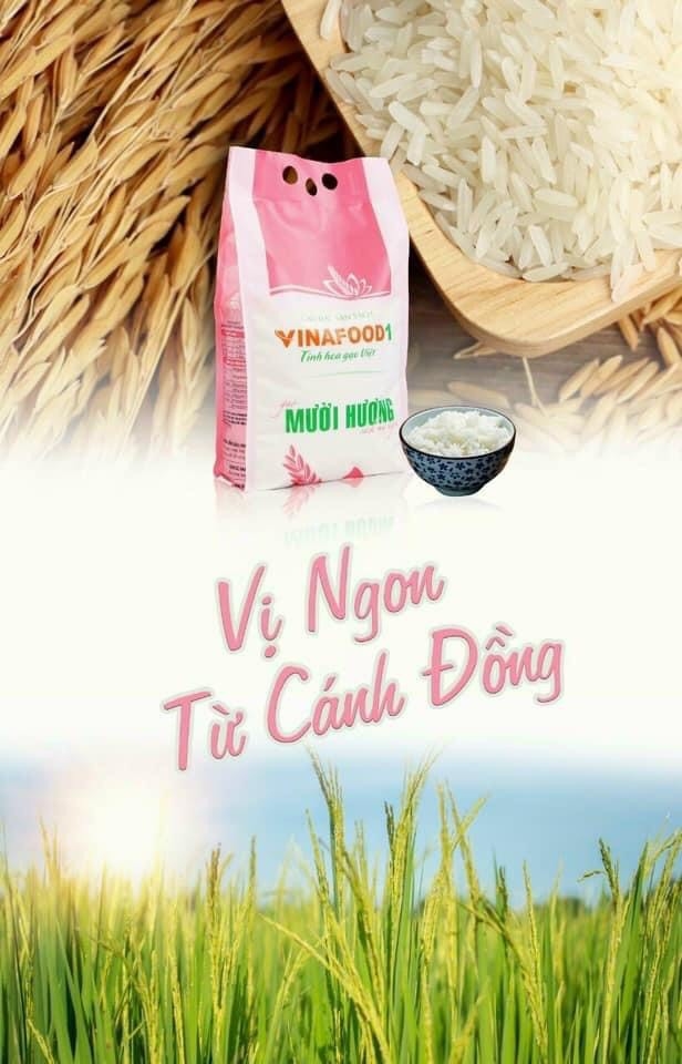 Gạo Mười Hương Vinafood1 túi 3.5kg