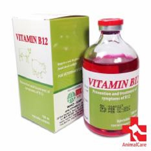 Vitamin B12-Giải độc cho cây chai 100ml
