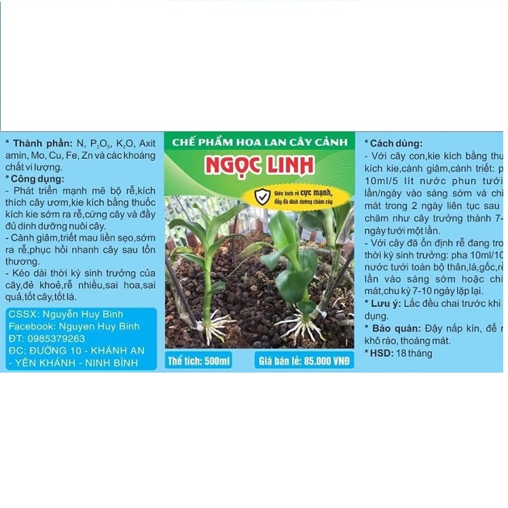 Chế phẩm Ngọc Linh siêu kích rễ cực mạnh và bổ sung dưỡng chất chuyên dùng cho Phong lan chai 500ml.