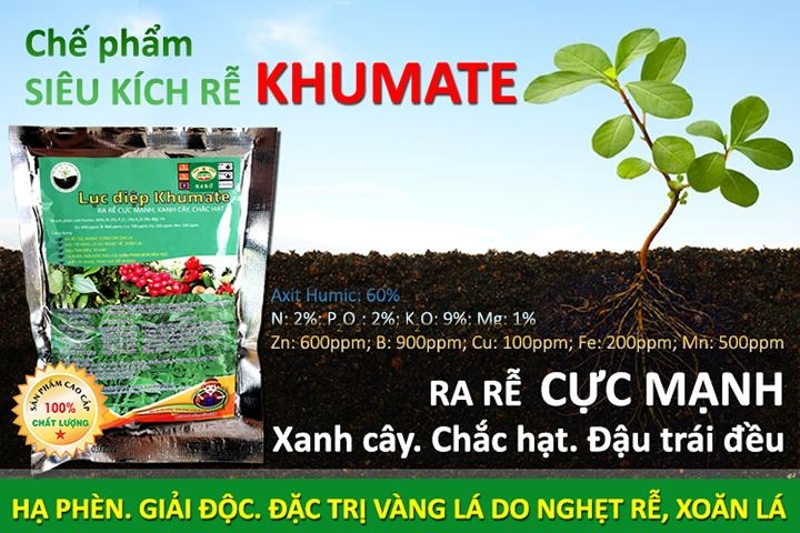 Phân bón kích rễ KHUMATE - Chế phẩm sinh học Siêu Ra Rễ cho cây trồng
